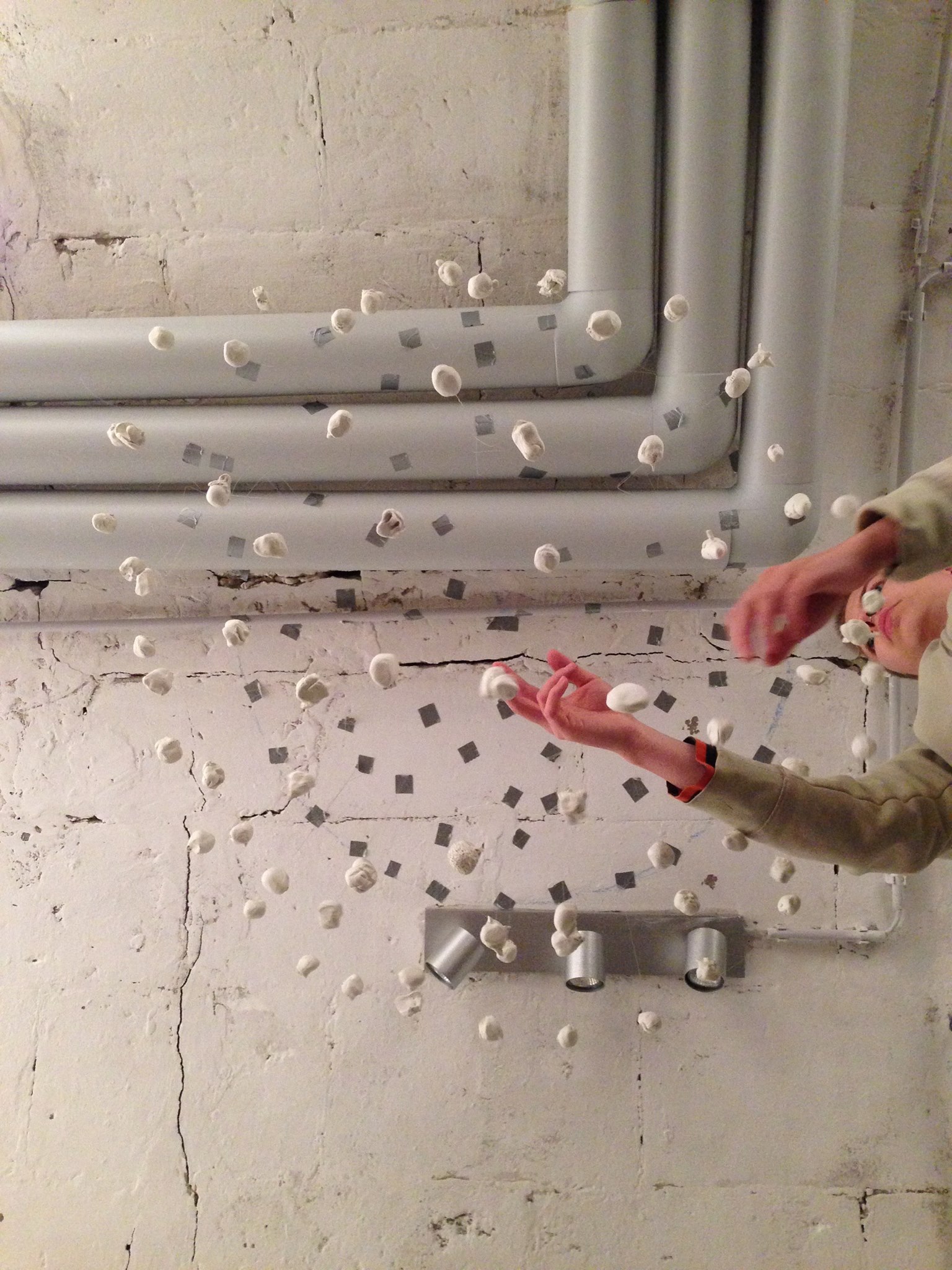 18289953_1576988178981116_446829424_o